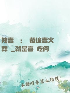 辣妻來襲：總裁追妻火葬場