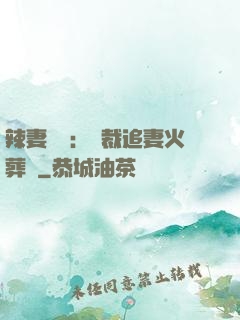 辣妻來襲：總裁追妻火葬場