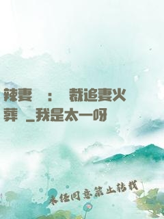 辣妻來襲：總裁追妻火葬場