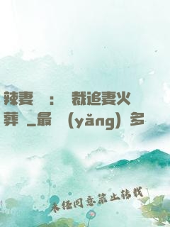 辣妻來襲：總裁追妻火葬場