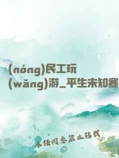 農(nóng)民工玩網(wǎng)游