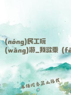 農(nóng)民工玩網(wǎng)游