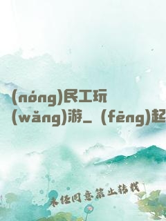 農(nóng)民工玩網(wǎng)游