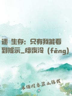 迷宮生存：只有我能看到提示