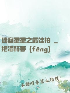 迷案重重之最佳拍檔