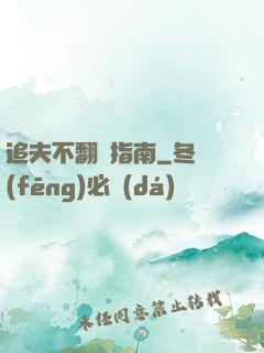 追夫不翻車指南