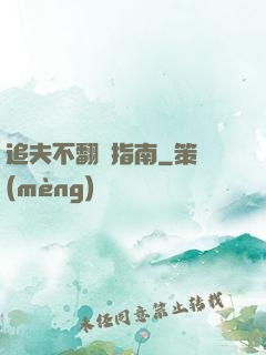 追夫不翻車指南