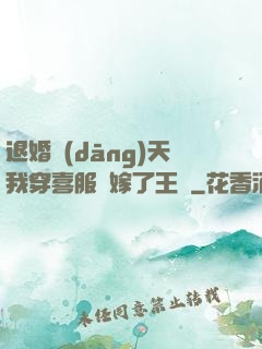 退婚當(dāng)天我穿喜服強嫁了王爺