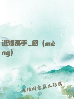 逃婚高手