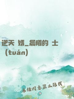 逆天廢婿