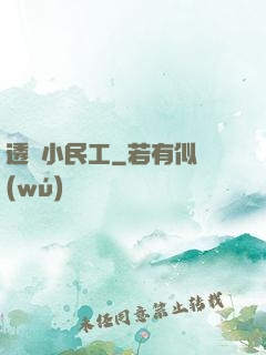 透視小民工