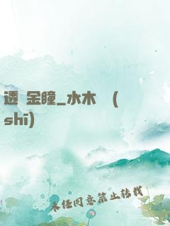 透視金瞳