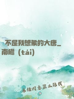 這不是我想象的大唐