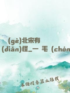 這個(gè)北宋有點(diǎn)怪