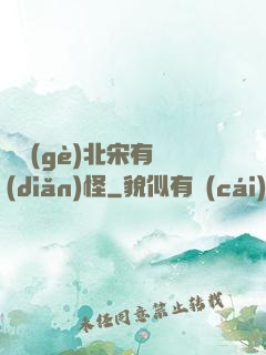 這個(gè)北宋有點(diǎn)怪