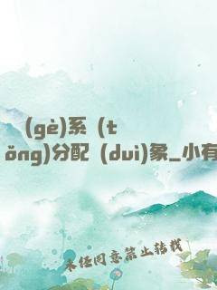 這個(gè)系統(tǒng)分配對(duì)象