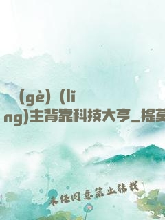 這個(gè)領(lǐng)主背靠科技大亨