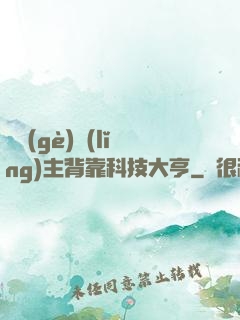 這個(gè)領(lǐng)主背靠科技大亨