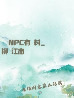 這個NPC有點料