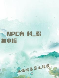 這個NPC有點料