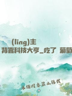這個領(lǐng)主背靠科技大亨