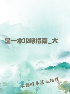 這是一本攻略指南