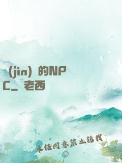 進(jìn)階的NPC