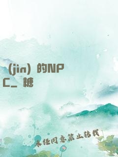 進(jìn)階的NPC