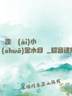 邊走邊愛(ài)小說(shuō)金水目錄