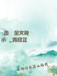 邊走邊愛全文免費閱讀小說