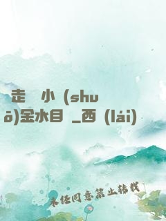 邊走邊愛小說(shuō)金水目錄