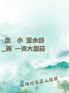 邊走邊愛小說金水目錄