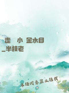邊走邊愛小說金水目錄
