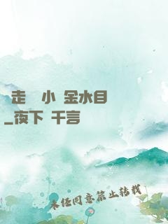 邊走邊愛小說金水目錄