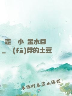 邊走邊愛小說金水目錄