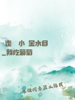 邊走邊愛小說金水目錄