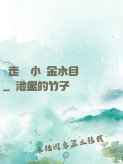 邊走邊愛小說金水目錄