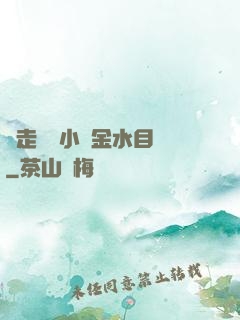 邊走邊愛小說金水目錄