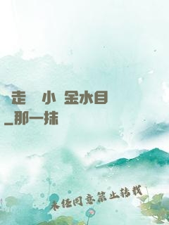 邊走邊愛小說金水目錄