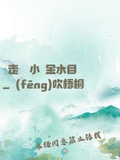 邊走邊愛小說金水目錄