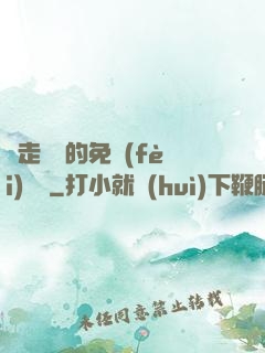 邊走邊愛的免費(fèi)閱讀