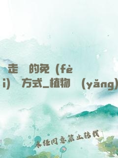 邊走邊愛的免費(fèi)閱讀方式