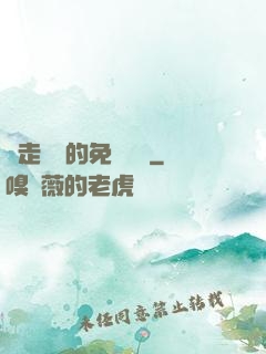 邊走邊愛的免費閱讀