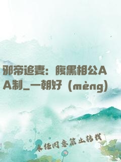 邪帝追妻：腹黑相公AA制