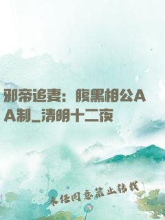 邪帝追妻：腹黑相公AA制
