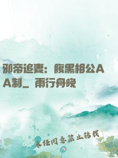 邪帝追妻：腹黑相公AA制