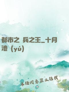 都市之傭兵之王