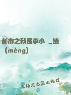 都市之我是李小龍