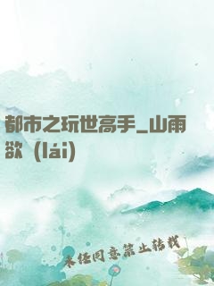 都市之玩世高手
