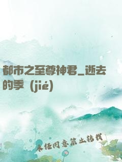 都市之至尊神君